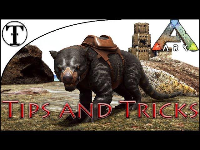 Fast Thylacoleo Taming Guide :: ARK : Survival Evolved Tips and Tricks