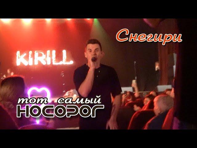 Кирилл Туриченко - Снегири (Live) / Тот самый НОСОРОГ