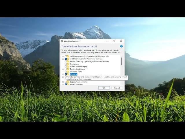 Turn Windows Features On or Off; Manage Windows Optional Features in Windows 11