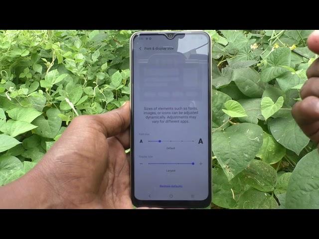 How to change display text size in Vivo Y16