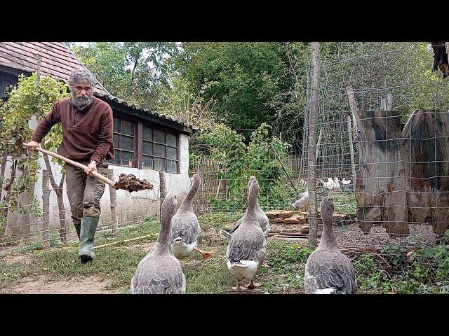 Selbstversorger Alltag in Ungarn #153 Auswanderer in Ungarn