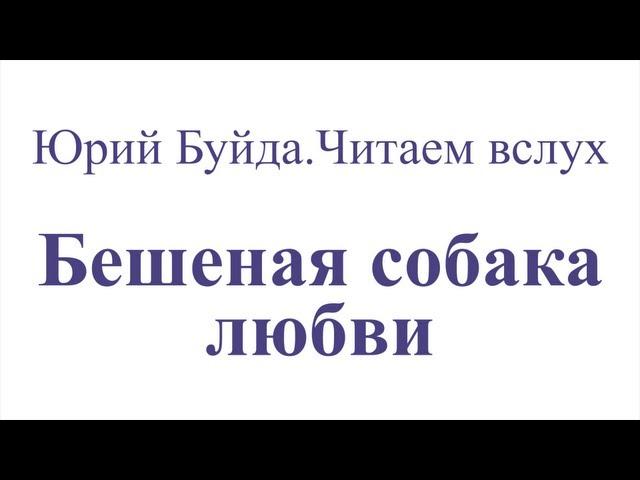 Юрий Буйда. Читаем вслух - Бешеная собака любви