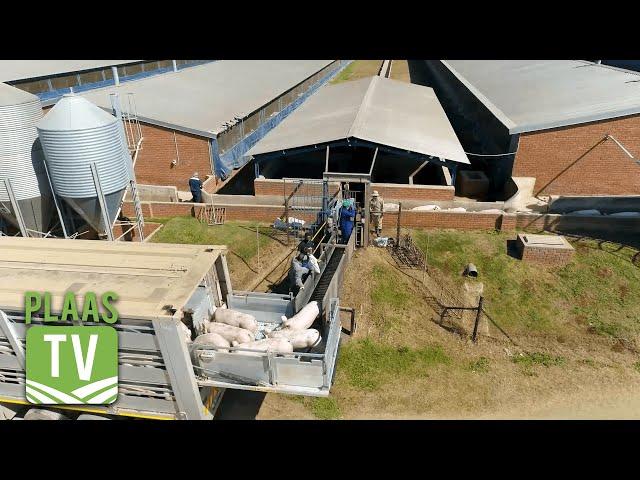 Plaas TV 23 September: Swine grower nutrition /  DSM Nutritional Products