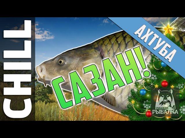 Russian Fishing 4 - RF4 | NEW YEAR WILD CARP | Akhtuba River