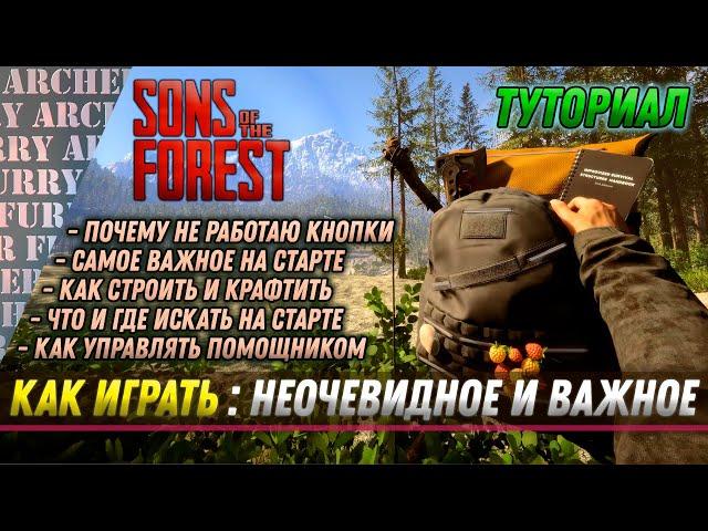 КАК ИГРАТЬ В Sons of The Forest