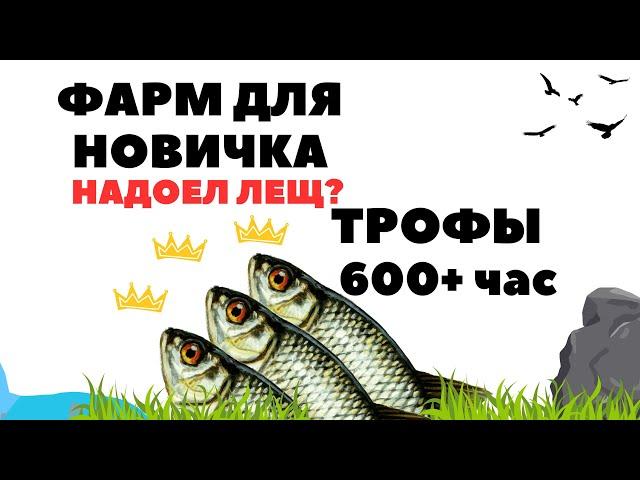 Фарм для новичков 600+ монет в час РР4 / Русская рыбалка 4