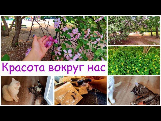 Наш зеленый район | Дождалась открытия почты и бегом за посылками с #aliexpress