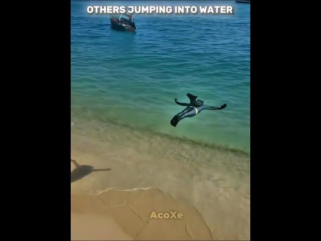 Others jumping into water