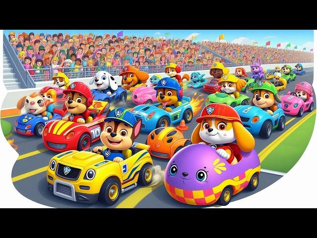 Paw Patrol Ultimate Rescue | Chase, Skye, Marshall,Chase Chibi Car RaceVery Funny Story | Rainbow 3