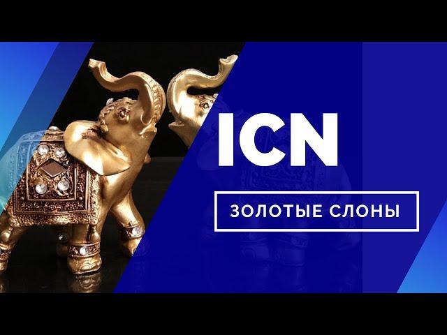 Стратегия инвестирования ICN - Золотые слоны