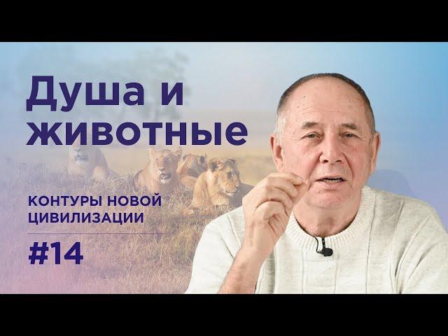 Развитие души в животном мире. Контуры новой цивилизации #14