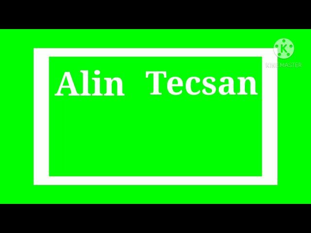 Alin Tecsan Logo (2021)