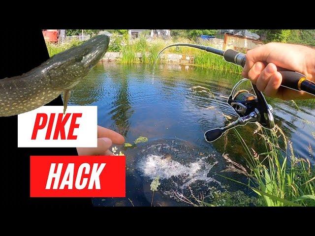 Topwater lure fishing MADE EASY - How to catch pike