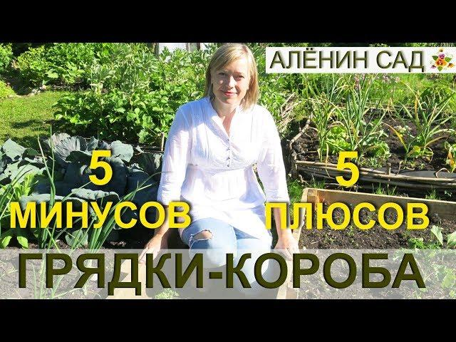 5 МИНУСОВ и 5 плюсов высоких грядок / ГРЯДКИ-КОРОБА / Тёплые грядки