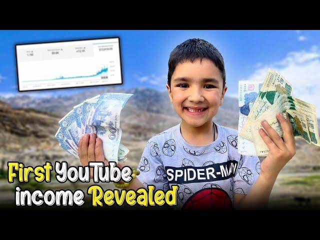 My First Youtube Earning Revealed !!