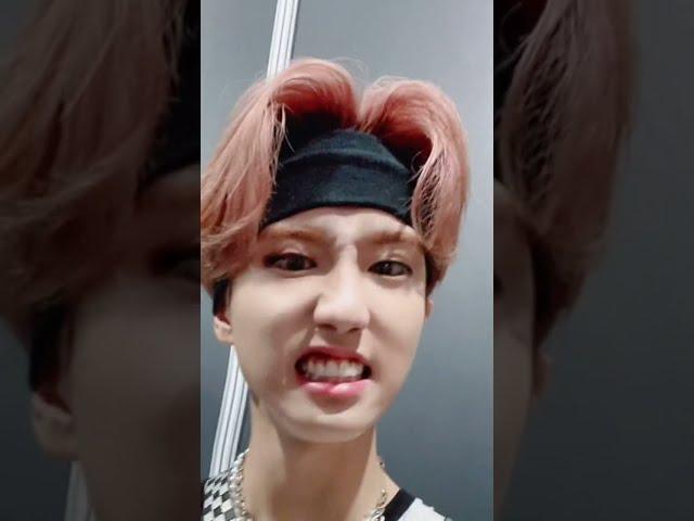 Han's tiktok is so cute and precious, oh god