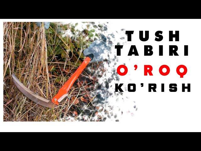 Tushda O'roq Ko'rish Tabiri