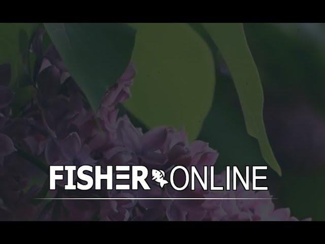 Fisher Online. Закрываю картинки на оз. Вассердам, Германия.