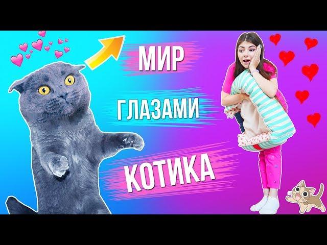 МИР ГЛАЗАМИ КОТИКА | 3 часть