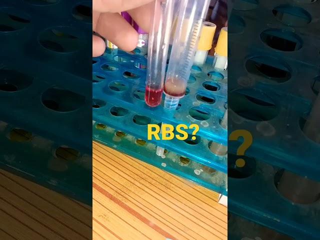 RBS Level #youtubeshorts #youtuber #youtube