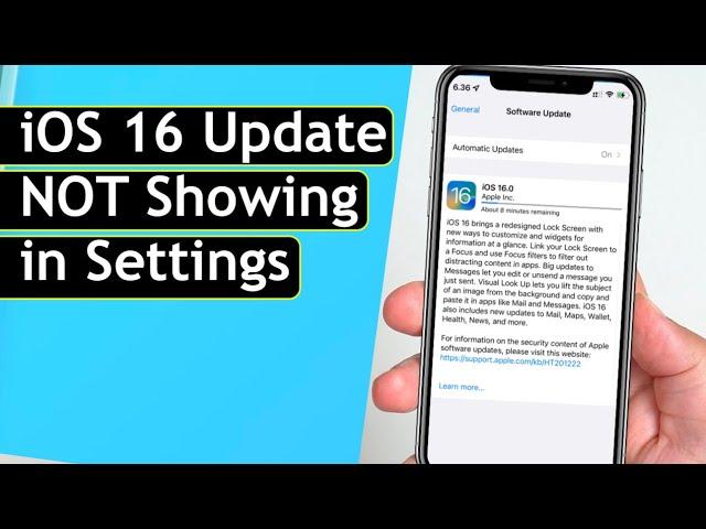 iOS 16 Update Not Showing? TOP Expert Shares Quick Fix!