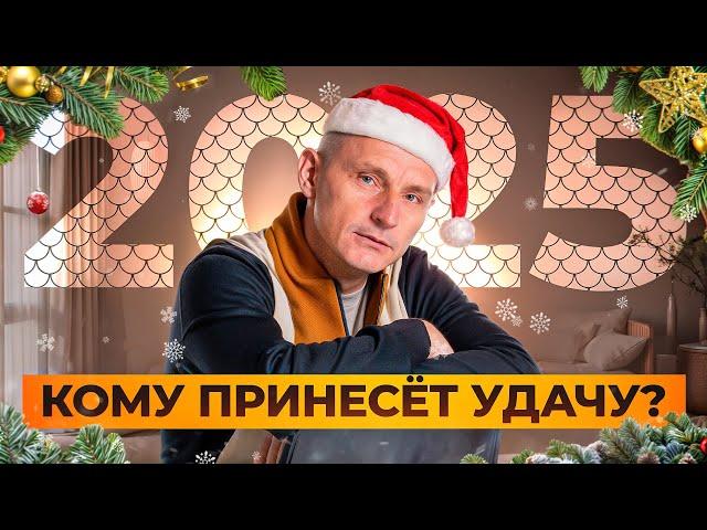 Прогноз на 2025 год по Дате Рождения / Алексей Капустин