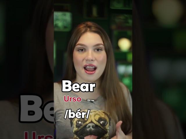 PRONÚNCIA DE BEAR #shorts #shortsyoutube #feelen #inglesfacil #auladeingles