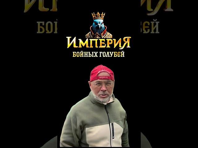 РАЗГОВОР ГОНЧАРА ИЗ ВОЦАПА С АЛИКОМ БУГАЕМ. БОЙНЫЕ ГОЛУБИ, ИГРОВЫЕ ГОЛУБИ.
