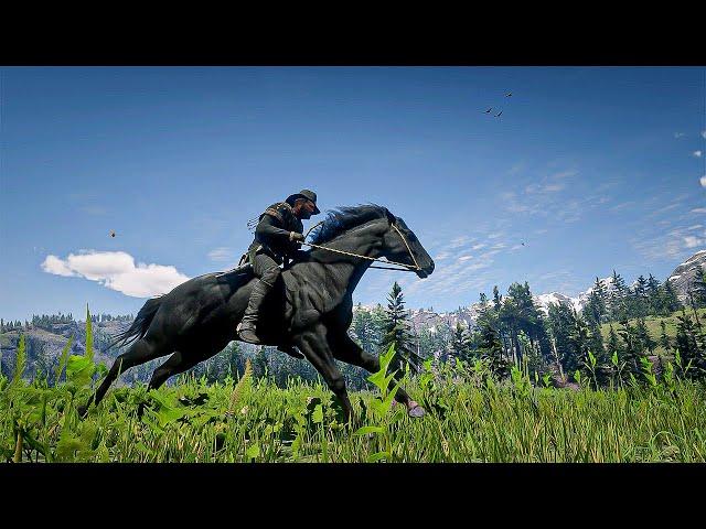 9 Best, fastest & Rarest Wild horse breed location in Red Dead Redemption 2