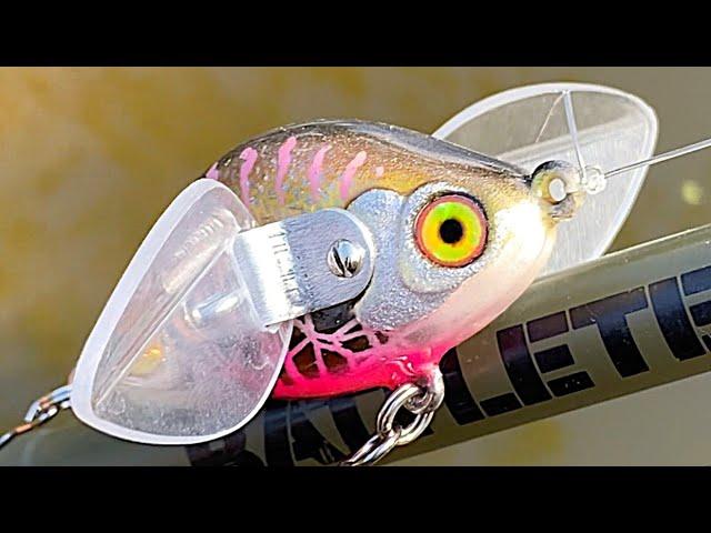 Clear Plastic Wings on a Fishing Lure | One Day Build to Catch