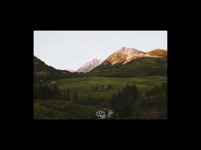 Sad Indie Folk x Acoustic Guitar Type Beat - “Fields”