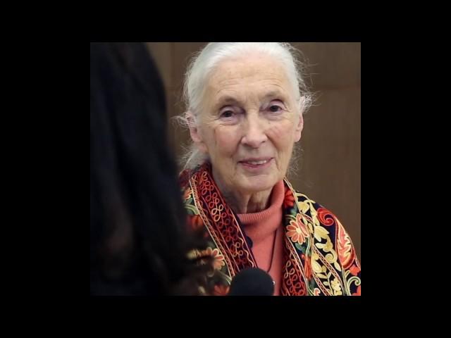 #LifeBeats: Changing the World with Dr. Jane Goodall