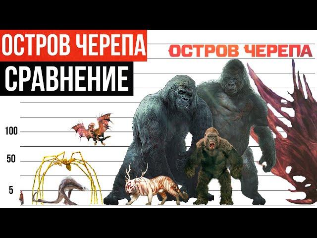 Сравнение размеров монстров Острова Черепа | 2021