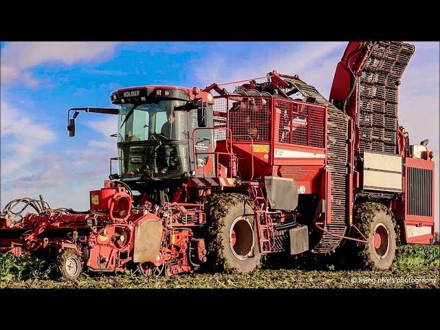 Suikerbieten rooien / Beet harvest / Zuckerrüben ernten / Holmer Terra Dos / Fendt / Krampe