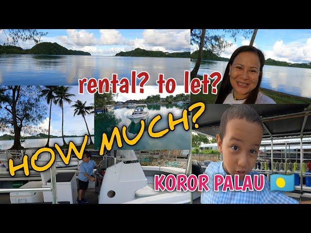 HOW MUCH THE RENTAL? AN UPDATE IN ISLAND OF KOROR PALAU #micronesia #phillipines