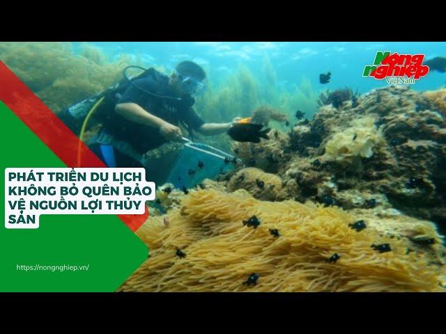 Phát triển du lịch không bỏ quên bảo vệ nguồn lợi thủy sản