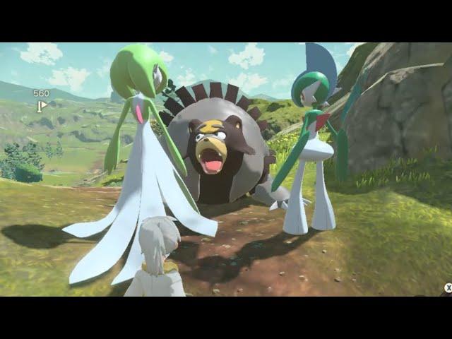 URSALUNA Gently Tells GARDEVOIR To SHUT UP - Pokémon Legends Arceus