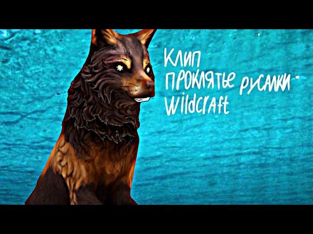 Wildcraft | Проклятье русалки [Клип]