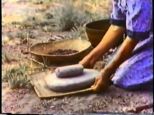 Pine Nuts the Movie (Paiute, Shoshone & Washo pine nut harvesting and preparation)