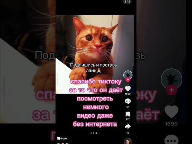 СПАСИБО ТИКТОКУ #tiktok #тикток #видео #спасибо #shorts