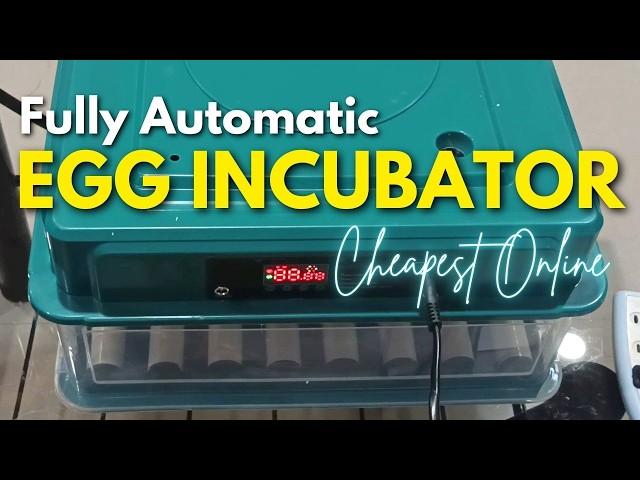 Fully Automatic Egg Incubator (48 Egg Capacity) – Step by Step Set-up & First Time Candling!