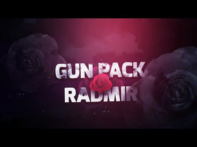 TOP 4 GUN PACK | RADMIR RP
