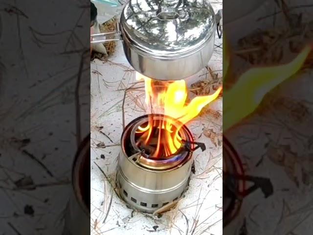 Compact Wood Gasifying Cook Stove