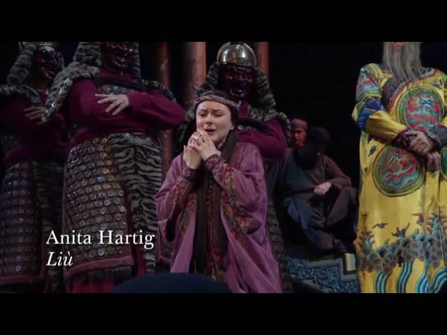 The Met: Live in HD 15-16 - Turandot