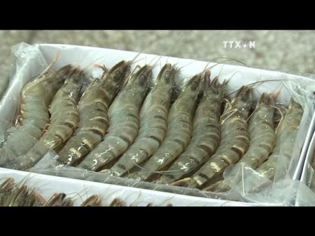 Seafood exports set to top 7 billion USD this year