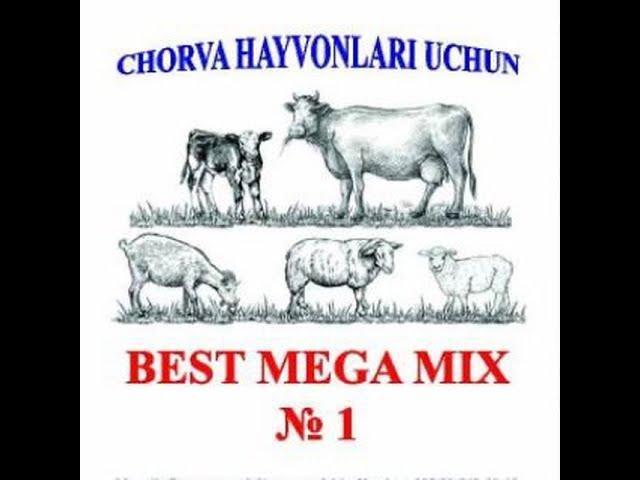 BEST MEGA MIX QUYLARNI TEZ KOTTA QILISH USULI