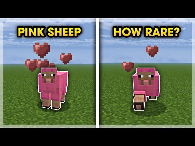 How Rare Is a PINK SHEEP In Minecraft? ️