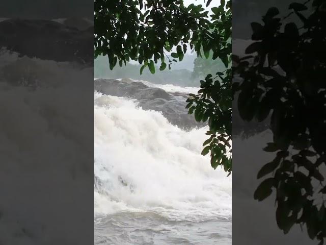 Vazhachal waterfall #athirapally#amazing #travel #waterfall#tourism @TheDaily.Wanderer