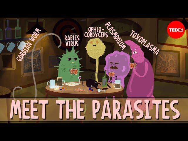 How brain parasites change their host's behavior - Jaap de Roode