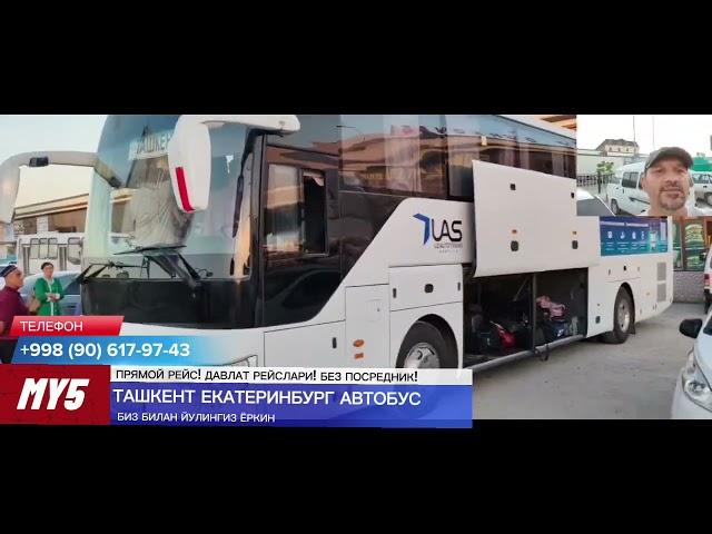 краснодар ташкент автобус. krasnodar tashkent avtobus #Krasnodar #tashkent #avtobus #краснодар